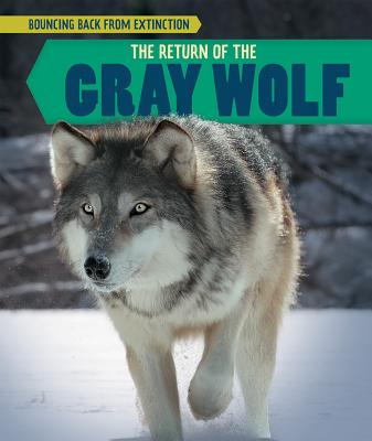 The Return of the Gray Wolf (Bouncing Back from Extinction)