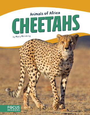 Cheetahs By Mary Meinking Cover Image