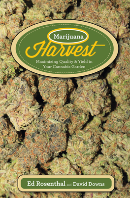 Marijuana Harvest: How to Maximize Quality and Yield in Your Cannabis Garden By Ed Rosenthal, David Downs (With) Cover Image