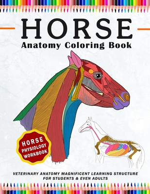 Horse Coloring Physiology Workbook, Veterinary Anatomy Magnificent Learning Structure for Students & Even Adults: To Help vet tech student, better kno By Patrick Crown Cover Image