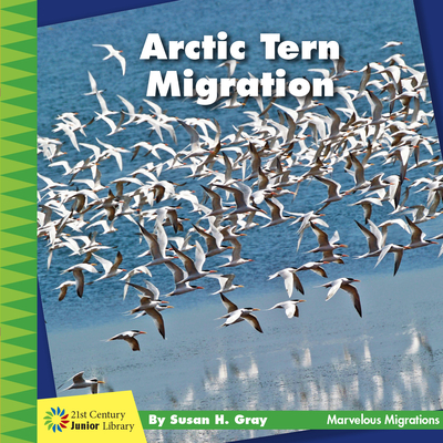 Arctic Tern Migration By Susan H. Gray Cover Image