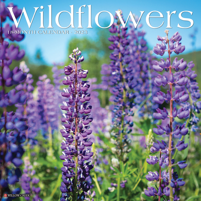 Wildflowers 2023 Wall Calendar By Willow Creek Press Cover Image