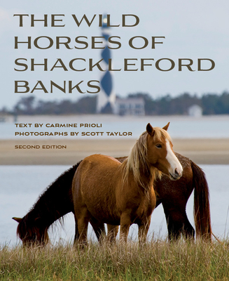 Wild Horses of Shackleford Banks Cover Image