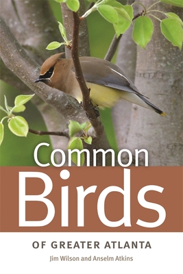 Common Birds of Greater Atlanta By Jim Wilson, Anselm Atkins Cover Image