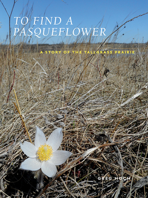 Cover for To Find a Pasqueflower