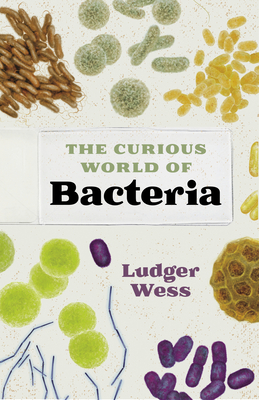 The Curious World of Bacteria