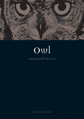 Cover for Owl (Animal)