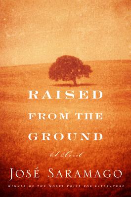 Cover Image for Raised from the Ground: A Novel