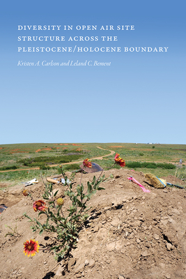 Diversity in Open-Air Site Structure across the Pleistocene/Holocene Boundary By Kristen A. Carlson (Editor), Leland C. Bement (Editor) Cover Image