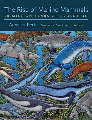 The Rise of Marine Mammals: 50 Million Years of Evolution By Annalisa Berta, James L. Sumich (Illustrator) Cover Image