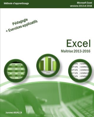 Excel Maîtrise 2013 - 2016 By Janine Araldi Cover Image