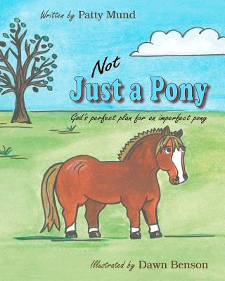 Not Just a Pony: God's perfect plan for an imperfect pony By Dawn Benson (Illustrator), Patty Mund Cover Image