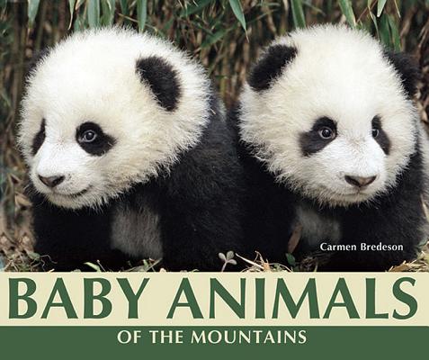 Baby Animals of the Mountains (Nature's Baby Animals)