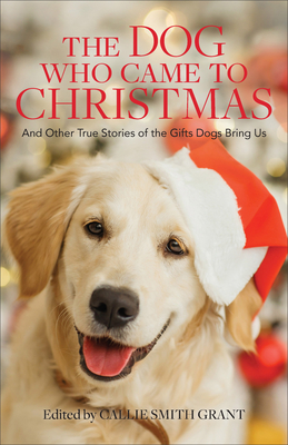 Dog Who Came to Christmas By Callie Smith Grant Cover Image