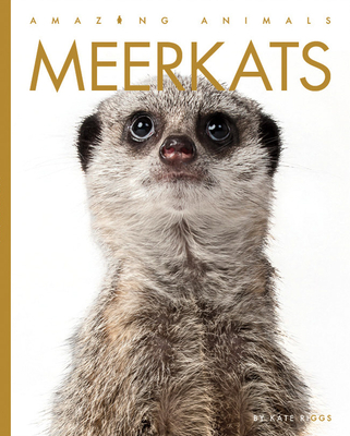 Meerkats (Amazing Animals) Cover Image