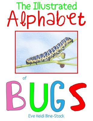 The Illustrated Alphabet of Bugs By Eve Heidi Bine-Stock Cover Image