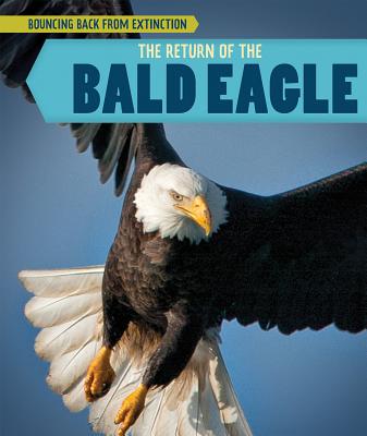 The Return of the Bald Eagle (Bouncing Back from Extinction)