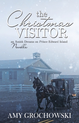 The Christmas Visitor (Amish Dreams on Prince Edward Island #2