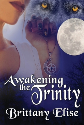 Awakening the Trinity Cover Image