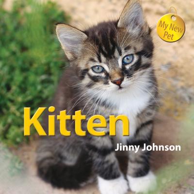 Kitten (My New Pet)