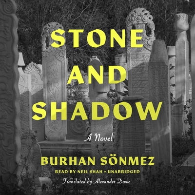 Stone and Shadow Cover Image