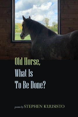 Old Horse, What Is to Be Done? By Stephen Kuusisto Cover Image
