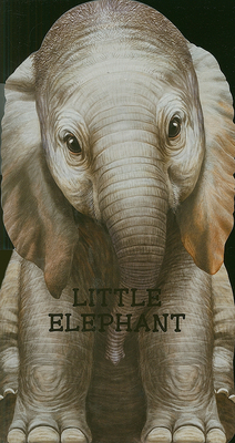 Little Elephant (Look at Me Books)