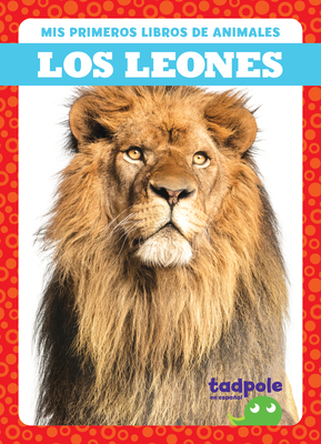 Los Leones (Lions) Cover Image