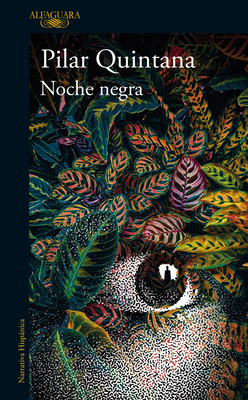 Noche negra / Dark Night By Pilar Quintana Cover Image