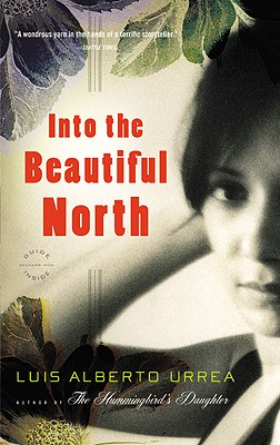 Cover Image for Into the Beautiful North