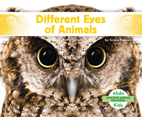 Different Eyes of Animals (Amazing Animal Features)