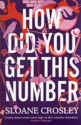 How Did You Get This Number Cover Image