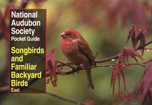 National Audubon Society Pocket Guide to Songbirds and Familiar Backyard Birds: Eastern Region: East (National Audubon Society Pocket Guides) Cover Image