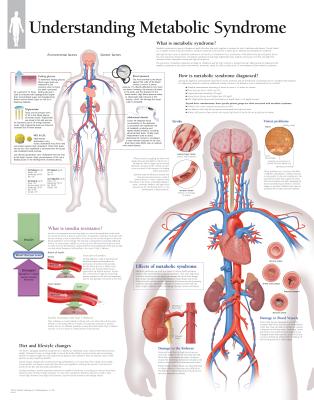 Metabolic Syndrome Chart: Laminated Wall Chart Cover Image