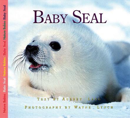 Baby Seal (Nature Babies) Cover Image