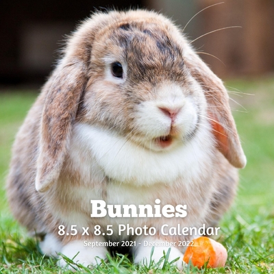 Bunnies 8.5 X 8.5 Calendar September 2021 -December 2022: Monthly Calendar with U.S./UK/ Canadian/Christian/Jewish/Muslim Holidays-Cute Rabbits Pets Cover Image