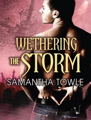 Wethering The Storm Mighty Storm 2 Compact Disc Rj Julia Booksellers