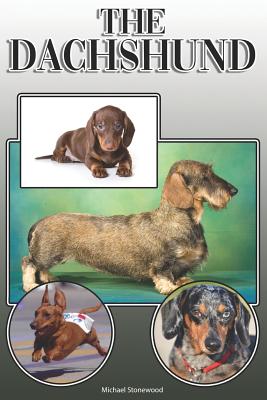 The Dachshund: A Complete and Comprehensive Owners Guide to: Buying, Owning, Health, Grooming, Training, Obedience, Understanding and By Michael Stonewood Cover Image