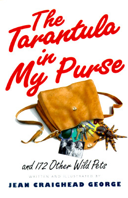 Cover for The Tarantula in My Purse