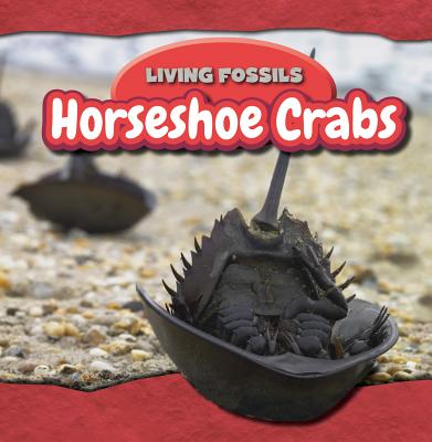 Horseshoe Crabs (Living Fossils) By Annie Wendt Hemstock Cover Image