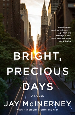 Bright, Precious Days: A Novel (Vintage Contemporaries)