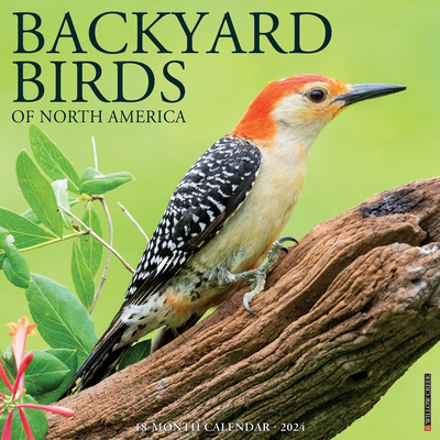 Backyard Birds 2024 12 X 12 Wall Calendar Cover Image