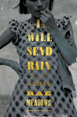 Cover Image for I Will Send Rain: A Novel