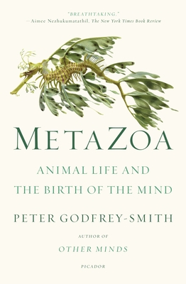 Metazoa: Animal Life and the Birth of the Mind By Peter Godfrey-Smith Cover Image