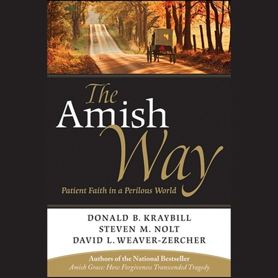 The Amish Way: Patient Faith in a Perilous World By Donald B. Kraybill, Steven M. Nolt, David L. Weaver-Zercher Cover Image