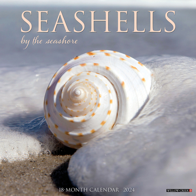 Seashells 2024 12 X 12 Wall Calendar Cover Image