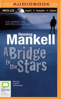 A Bridge to the Stars Cover Image