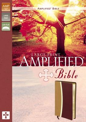 Large Print Bible-Am Cover Image