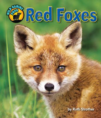 Red Foxes (Wild Canine Pups) By Ruth Strother, Blaire Van Valkenburgh (Consultant) Cover Image