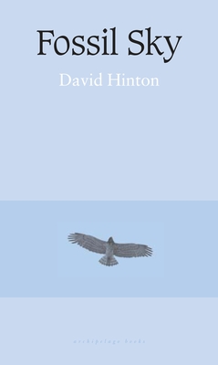 Fossil Sky By David Hinton Cover Image